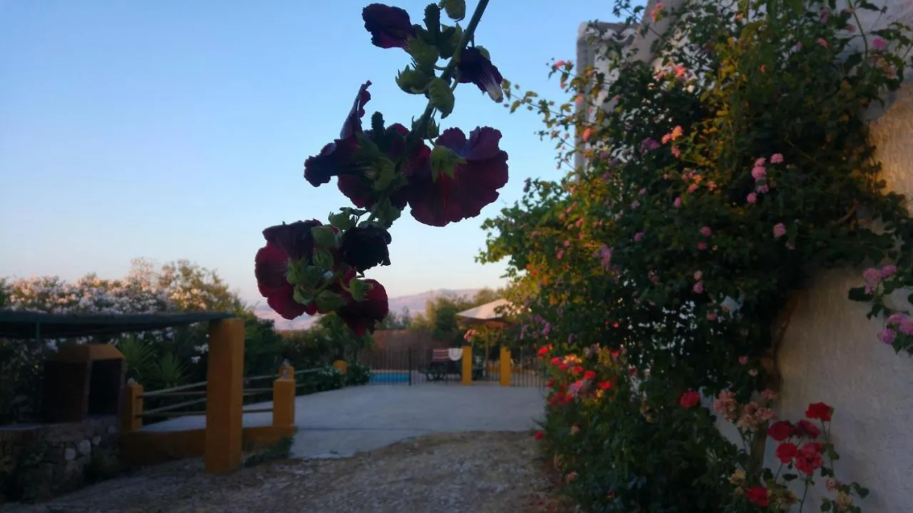 Holiday home Casa Rural Huerta La Lapa Canete la Real Spain