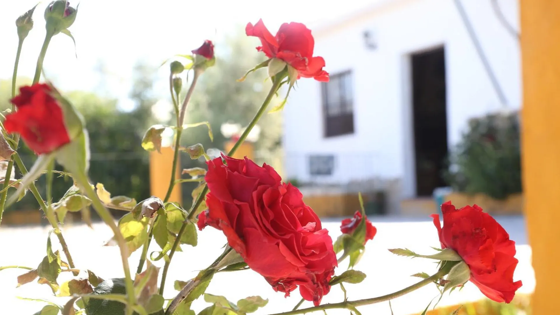Casa Rural Huerta La Lapa Canete la Real Holiday home